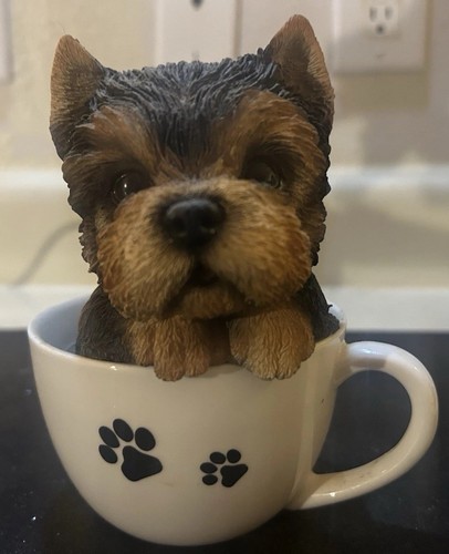 Realistic adorable yorkie dog - adorable,