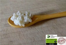 5 gms Kefir Grains, 1st class