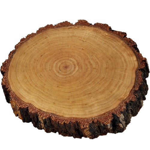 Bark board oiled birch slice - bark,