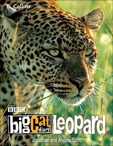 Big cat diary leopard by - cat,