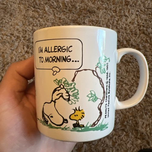Vintage kilncraft snoopy mug - kilncraft,