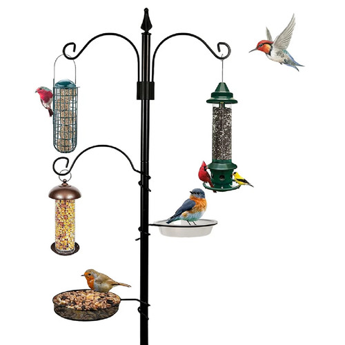 Heavy duty bird feeding - duty,