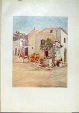 Original Old Antique Print Palermo Sicily Houses Balcony Donkey Cart