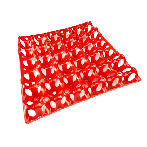 Egg trays - egg,