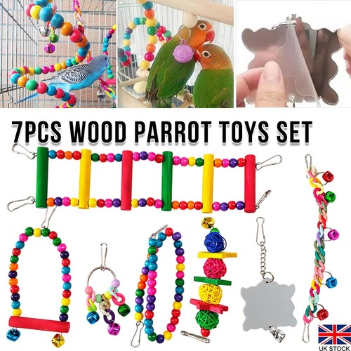 Pack parrot toys sets - toys,