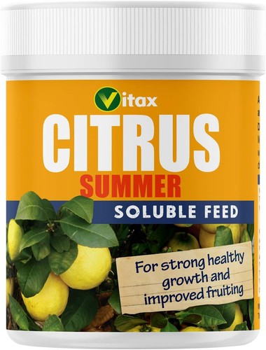 Citrus tree food summer feed - citrus,