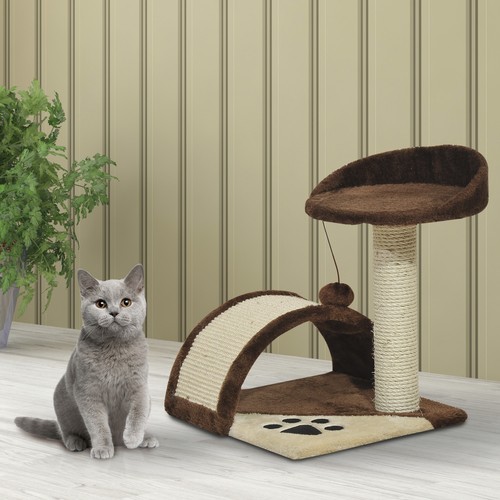 Cat tree scratching - cat,