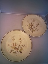Two Royal Doulton Wild Cherry