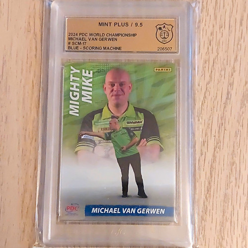 Panini michael van gerwen - panini,
