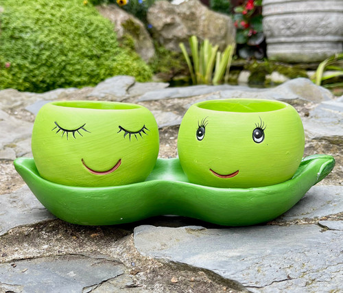 Two peas pod - two, in