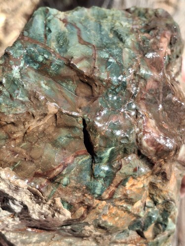 Dead camel jasper - camel, chocolate