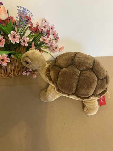 Gorgeous hamleys tortoise - gorgeous,