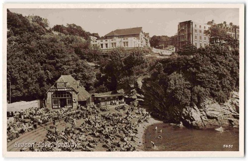 Torquay devon beacon cove - devon,