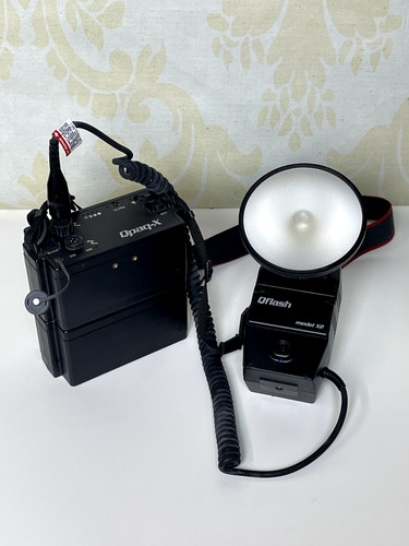 Quantum qflash model with - x2,