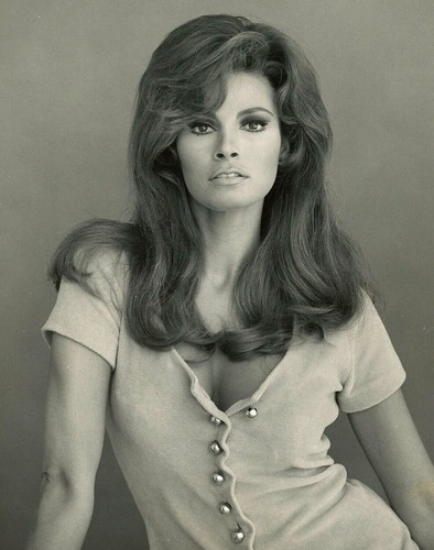 Raquel welch glossy photo - welch,
