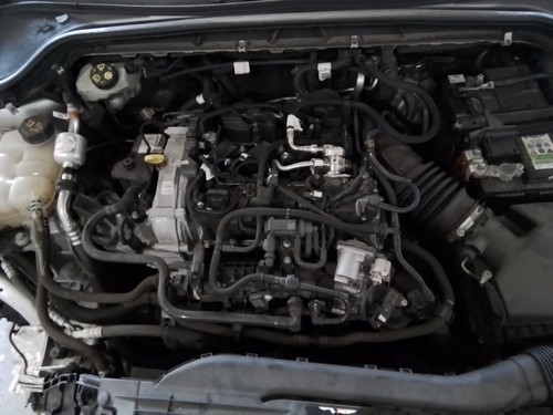 Engine ford focus - engine, (c519)