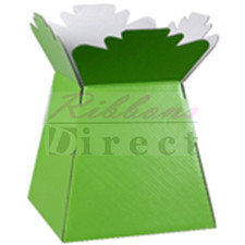 5 x Living Transporter Vase