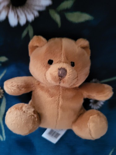 Asda small brown bear - asda,