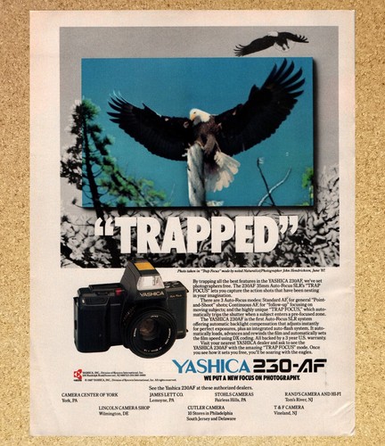 Yashica 230 slr - yashica, trap