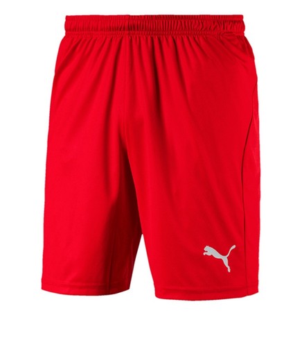 Puma liga core - puma, shorts
