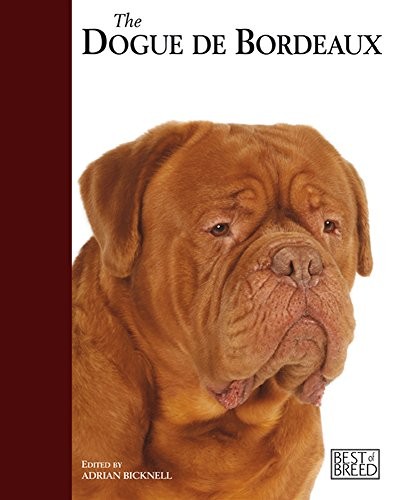 Dogue bordeaux best - dogue, (best