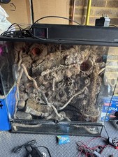 Exo Terra Glass Terrarium