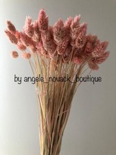 80 GR/80 STEMS DRIED PHALARIS