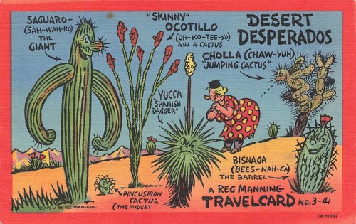 Reg manning desert - reg, manning,