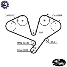 TIMING BELT 5442XS FOR