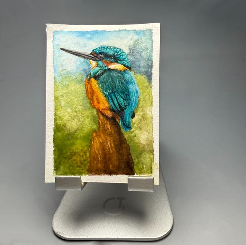 Original aceo painting - painting, –