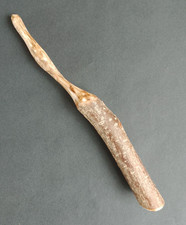 Wand hazel wood - hazel,