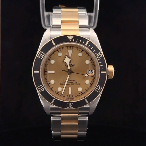Tudor black bay 41mm - s&g,