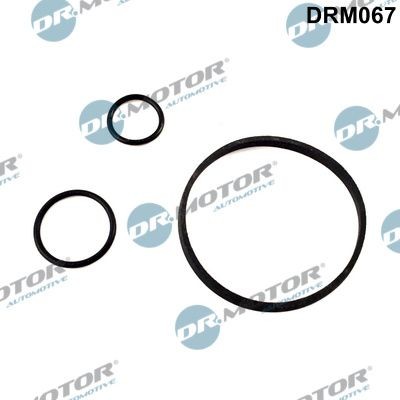 Gasket oil filter housing - gasket,,