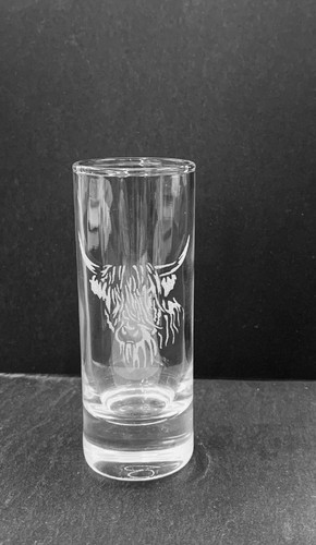 Highland cow engraved - cow, shot
