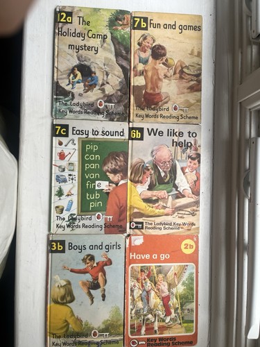 Vintage ladybird key words - 6,