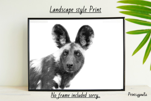 African wild dog print - wild,