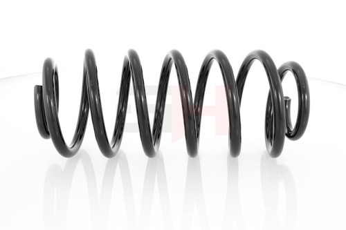 Rear suspension spring - rear, gh