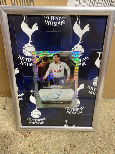 Harry winks panini - harry,