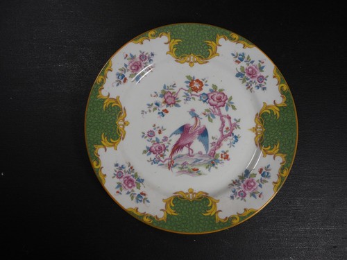 Exotic bird plate grosvenor - exotic,