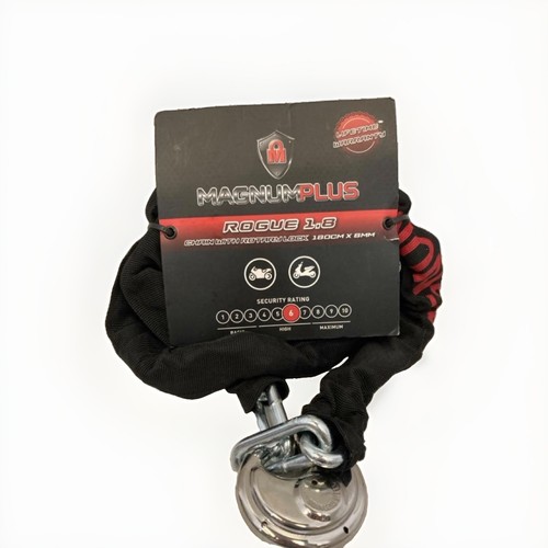 Lock and chain - lock,