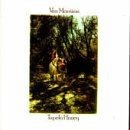 Tupelo honey morrison van - honey, morrison,