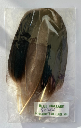 Mallard quills butcher - quills, ('butcher