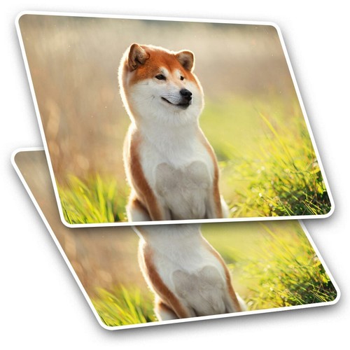 Rectangle stickers cm - 10,