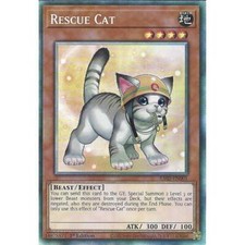 RA02-EN001 Rescue Cat