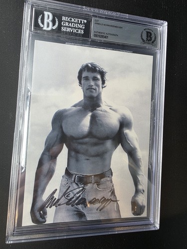 Arnold schwarzenegger signed - schwarzenegger,