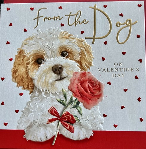 Gorgeous valentines card from - valentines,