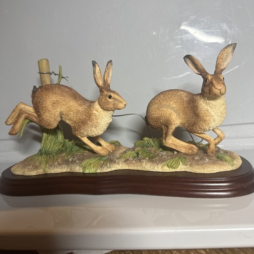 Border fine arts - arts, studio