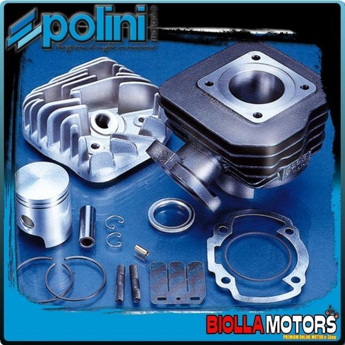 142 0148 thermal - group, polini