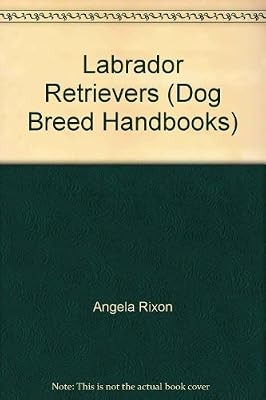 Labrador retrievers dog breed - labrador, (dog