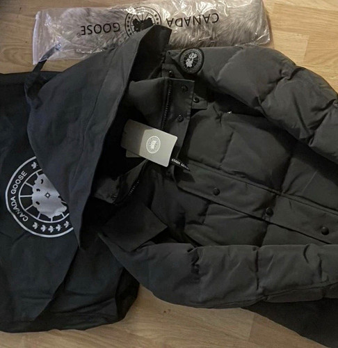 Canada goose arctic - goose,